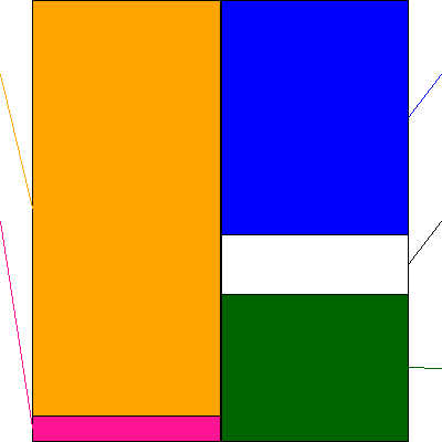 ダイブ(証券コード:151A)の貸借対照表