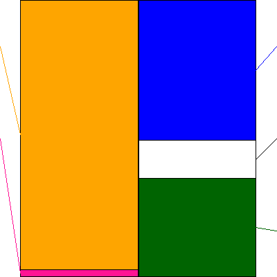 ＤＮホールディングス(証券コード:7377)の貸借対照表